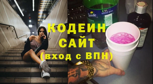 эйфоретик Вяземский